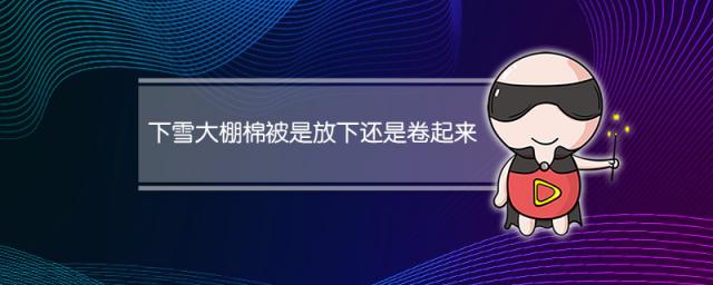 下雪大棚棉被是放下还是卷起来