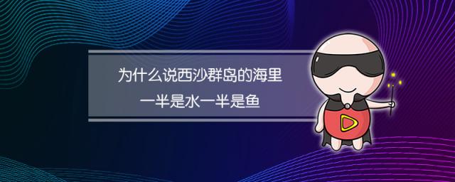 为什么说西沙群岛的海里一半是水一半是鱼