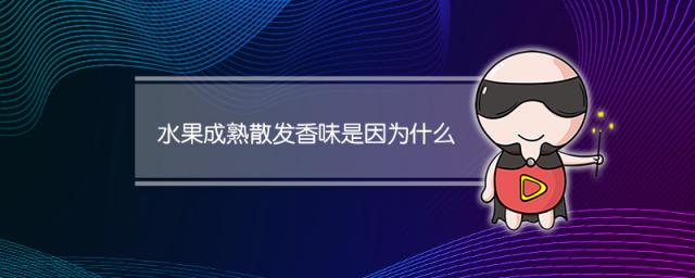 水果成熟散发香味是因为什么