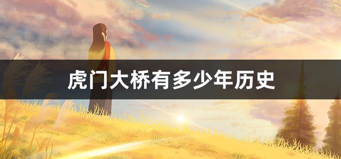 虎门大桥有多少年历史