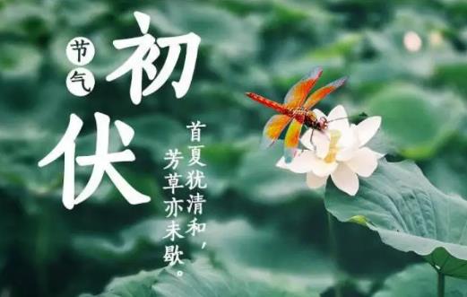 2022年初伏是7月几号