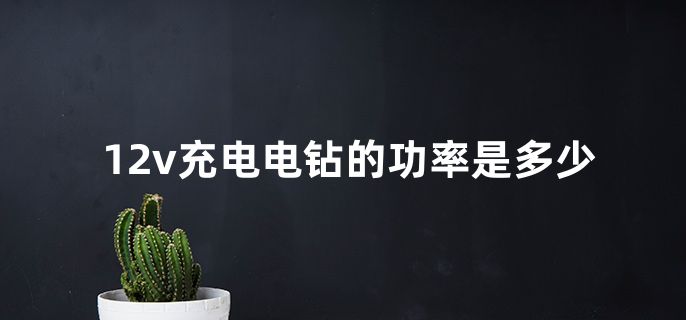 12v充电电钻的功率是多少