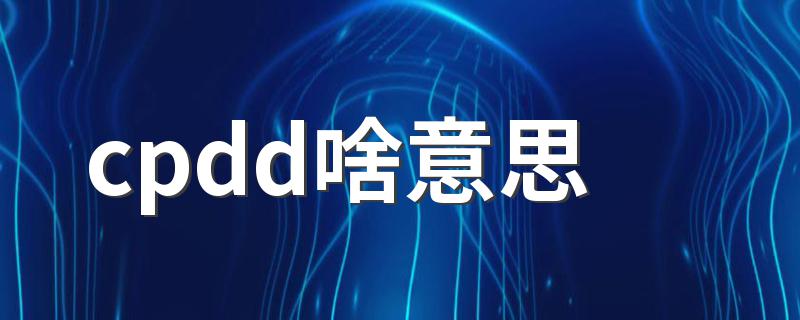 cpdd啥意思 cpdd是什么梗