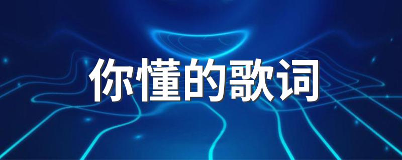 你懂的歌词 你懂的歌简介