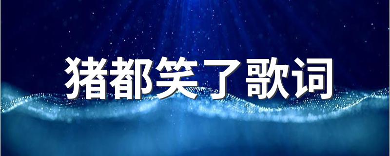 猪都笑了歌词 猪都笑了 (经典版)歌词