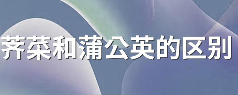荠菜和蒲公英的区别 荠菜长什么样子