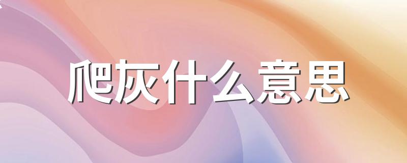 爬灰什么意思 爬灰意思简述