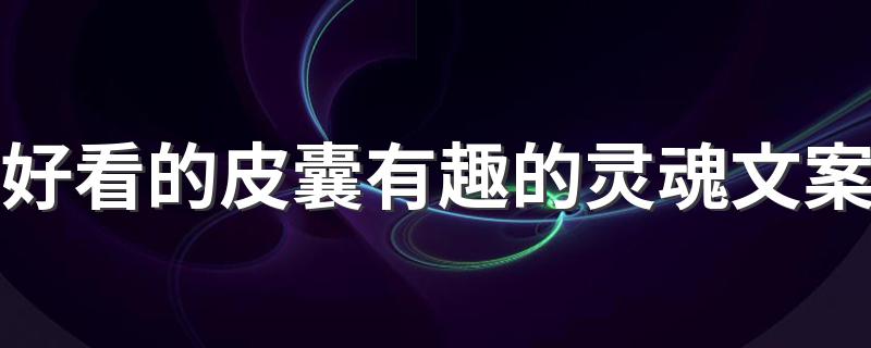 好看的皮囊有趣的灵魂文案 好看的皮囊千篇一律，有趣的灵魂万里挑一什么意思