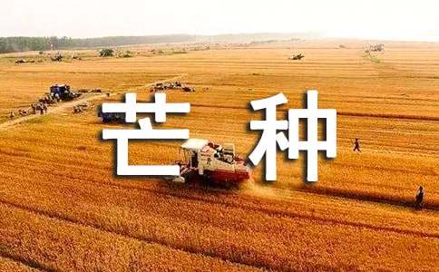 芒种是什么意思呢