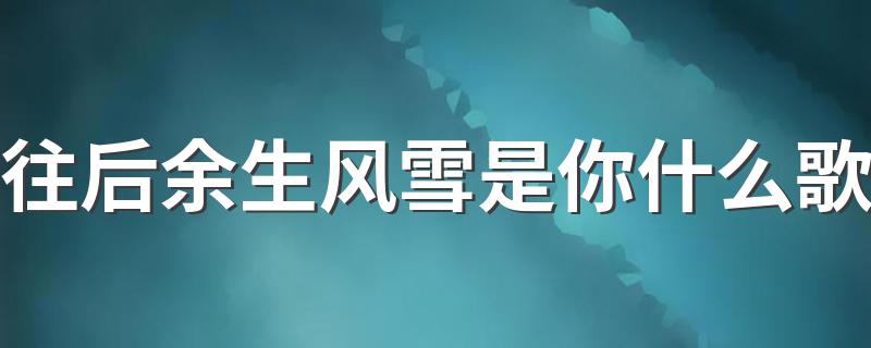 往后余生风雪是你什么歌 往后余生完整歌词