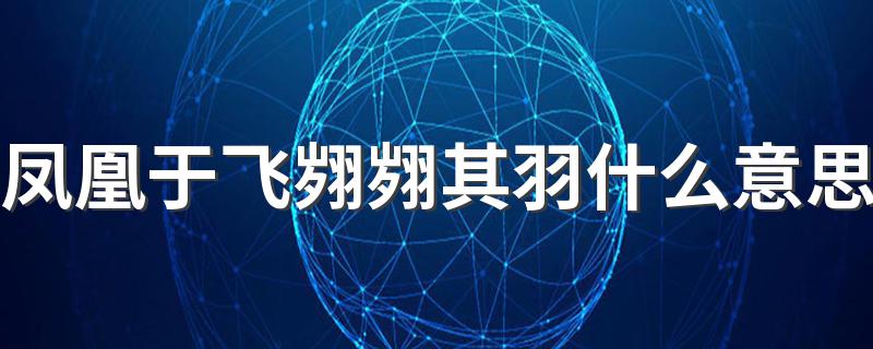 凤凰于飞翙翙其羽什么意思 凤凰于飞翙翙其羽的意思简述