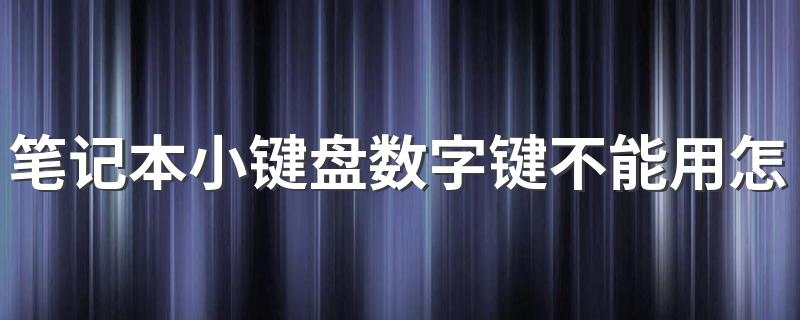 笔记本小键盘数字键不能用怎么回事 笔记本小键盘数字键不能用怎么办