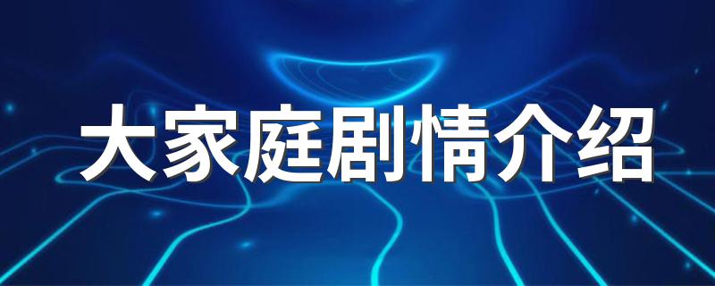 大家庭剧情介绍 电视剧大家庭简介