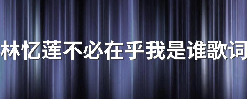林忆莲不必在乎我是谁歌词 关于林忆莲不必在乎我是谁歌词
