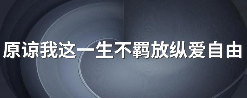 原谅我这一生不羁放纵爱自由什么歌 完整歌词