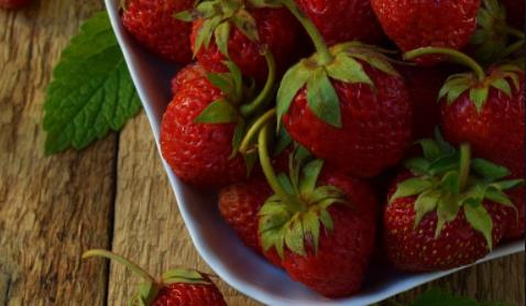甜宝草莓苗如何管理