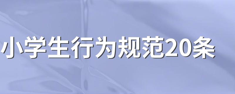 小学生行为规范20条 小学生行为规范20条有哪些
