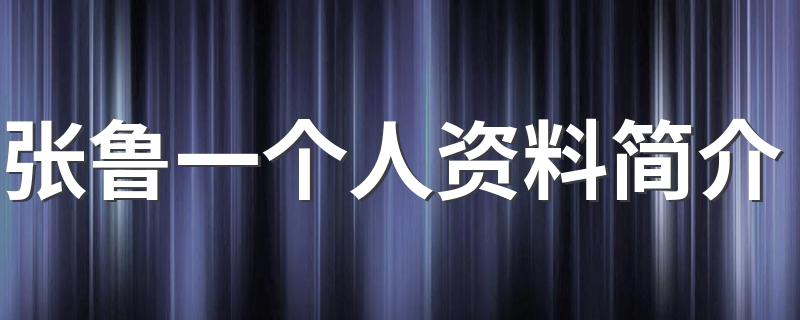 张鲁一个人资料简介 张鲁一个人资料简介描述
