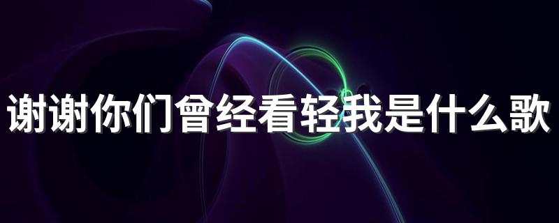 谢谢你们曾经看轻我是什么歌 海阔天空完整歌词是什么