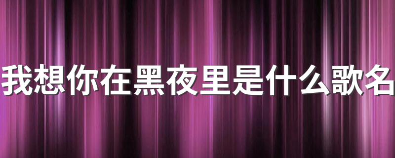 我想你在黑夜里是什么歌名 我想你在黑夜里歌曲歌词
