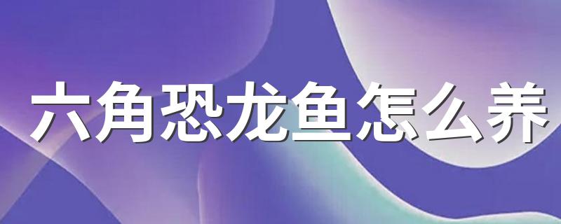 六角恐龙鱼怎么养 六角恐龙鱼的养殖方法