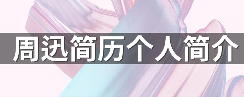 周迅简历个人简介 周迅简单介绍