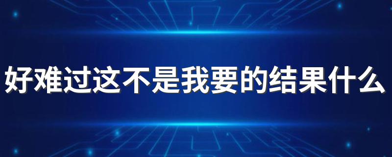 好难过这不是我要的结果什么歌 不要再来伤害我