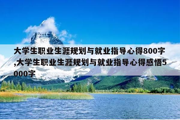 大学生职业生涯规划与就业指导心得800字,大学生职业生涯规划与就业指导心得感悟5000字