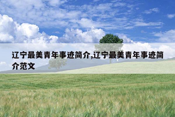 辽宁最美青年事迹简介,辽宁最美青年事迹简介范文