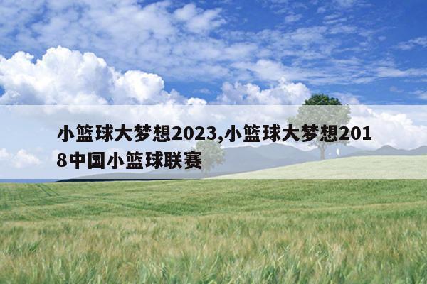 小篮球大梦想2023,小篮球大梦想2018中国小篮球联赛