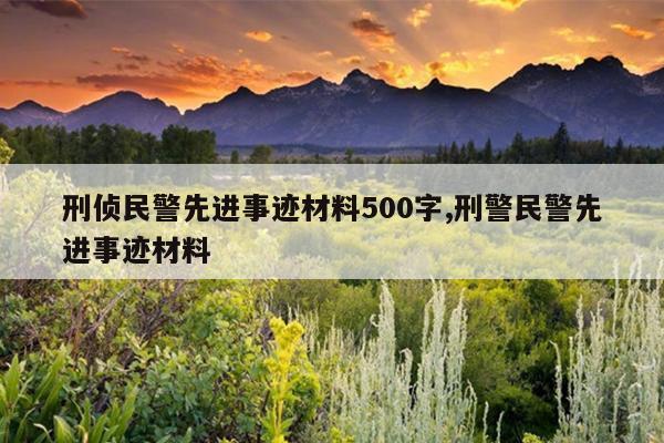 刑侦民警先进事迹材料500字,刑警民警先进事迹材料