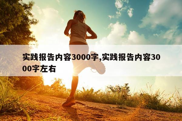 实践报告内容3000字,实践报告内容3000字左右