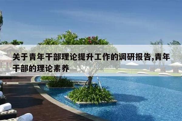 关于青年干部理论提升工作的调研报告,青年干部的理论素养
