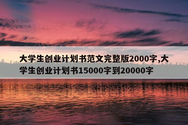 大学生创业计划书范文完整版2000字,大学生创业计划书15000字到20000字
