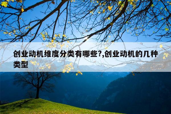 创业动机维度分类有哪些?,创业动机的几种类型