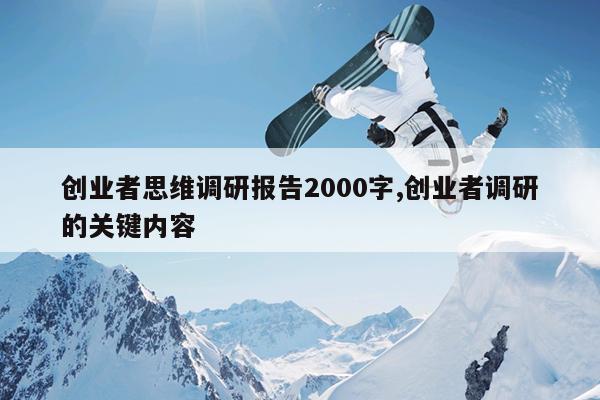 创业者思维调研报告2000字,创业者调研的关键内容