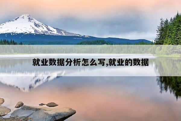 就业数据分析怎么写,就业的数据