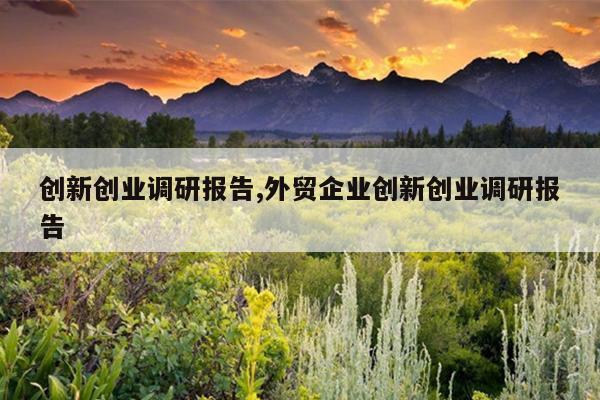 创新创业调研报告,外贸企业创新创业调研报告