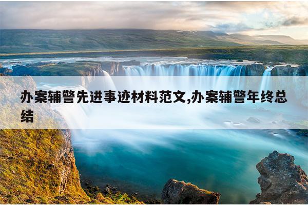 办案辅警先进事迹材料范文,办案辅警年终总结