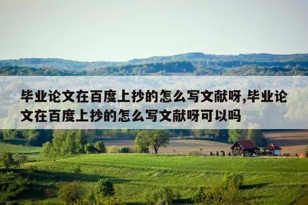 毕业论文在百度上抄的怎么写文献呀,毕业论文在百度上抄的怎么写文献呀可以吗