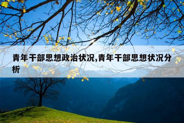 青年干部思想政治状况,青年干部思想状况分析