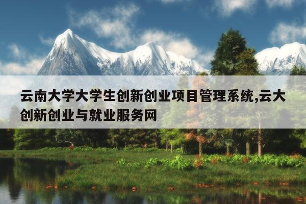 云南大学大学生创新创业项目管理系统,云大创新创业与就业服务网