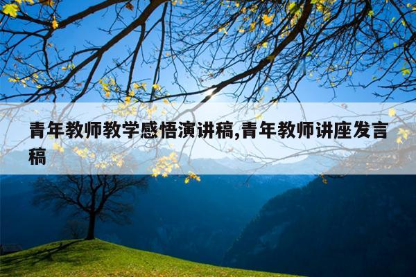 青年教师教学感悟演讲稿,青年教师讲座发言稿