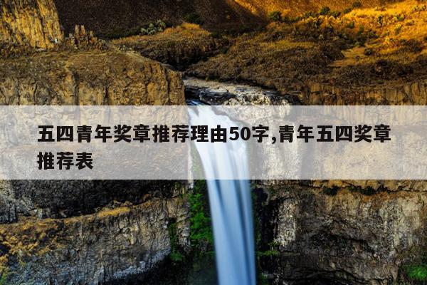 五四青年奖章推荐理由50字,青年五四奖章推荐表