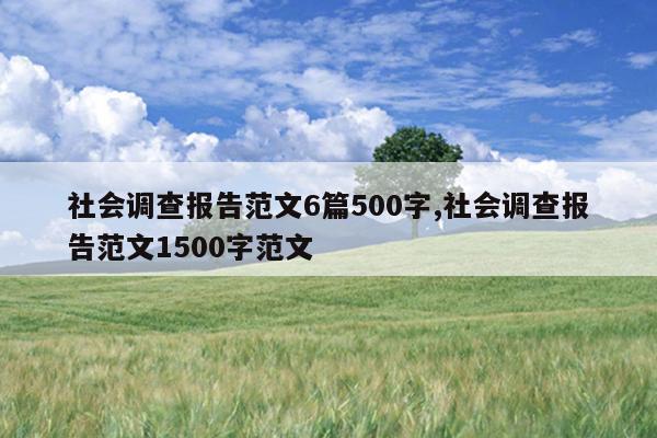 社会调查报告范文6篇500字,社会调查报告范文1500字范文