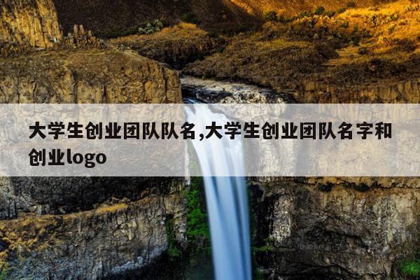 大学生创业团队队名,大学生创业团队名字和创业logo