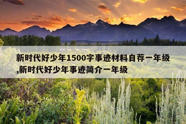 新时代好少年1500字事迹材料自荐一年级,新时代好少年事迹简介一年级