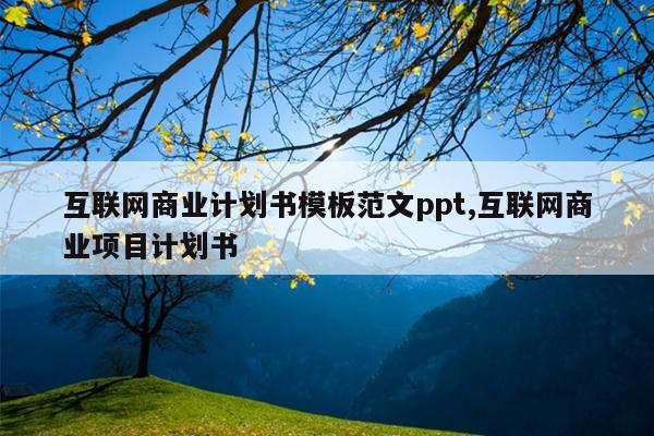 互联网商业计划书模板范文ppt,互联网商业项目计划书