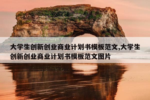 大学生创新创业商业计划书模板范文,大学生创新创业商业计划书模板范文图片