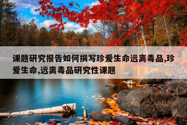 课题研究报告如何撰写珍爱生命远离毒品,珍爱生命,远离毒品研究性课题